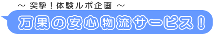 ʂ̈ST[rXI